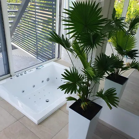 Penthouse Jacuzzi & Pool Apartmants